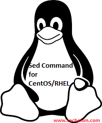 Sed Command