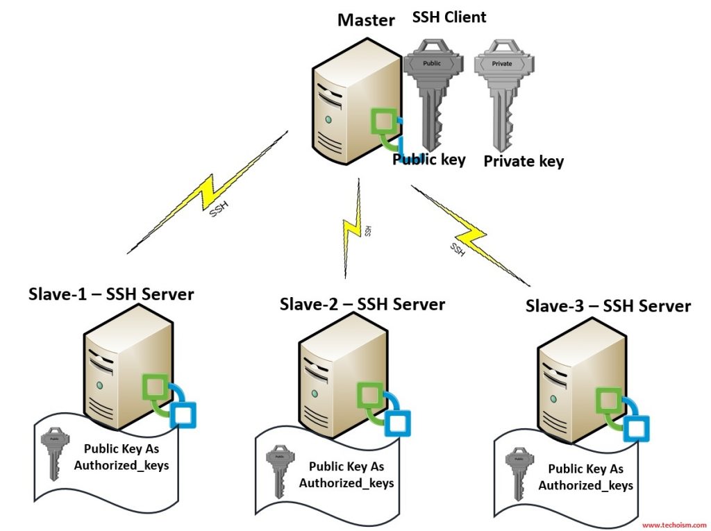 Passwordless Authentication